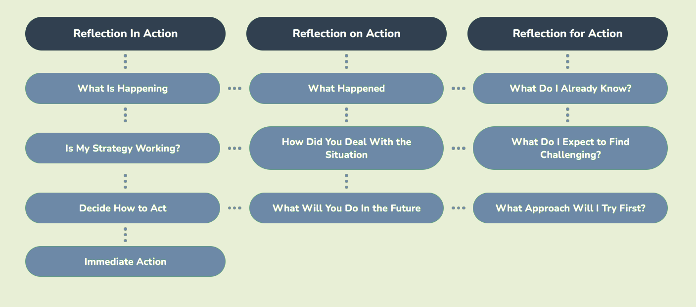 Schon Reflective Model